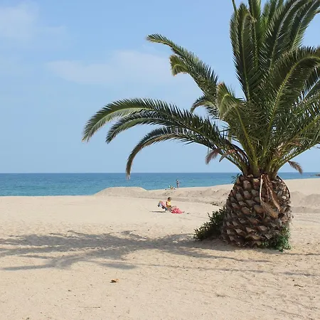 Beach Palace